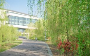 安徽高考多少分能录取江西应用科技学院？2024年历史类462分 物理类最低467分