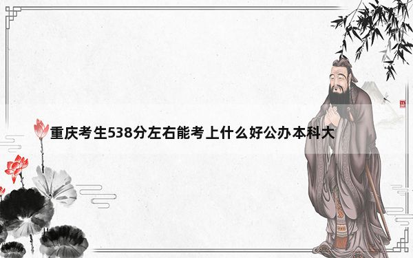 重庆考生538分左右能考上什么好公办本科大学？（供2025届高三考生参考）